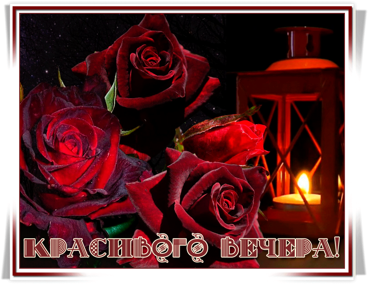 Галя добрый вечер картинки Галя добрый вечер картинки