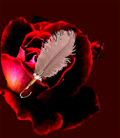 Tapтaлeтки & Ко