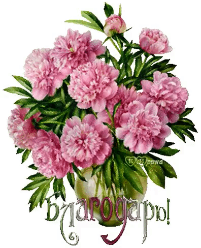 Tapтaлeтки & Ко