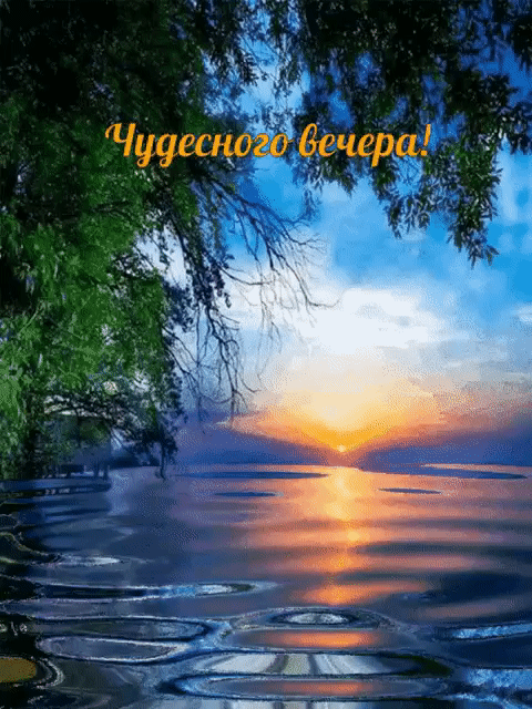 Tapтaлeтки & Ко