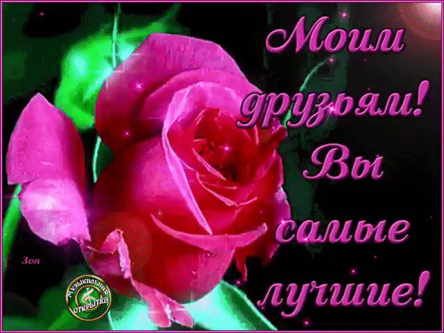 Tapтaлeтки & Ко