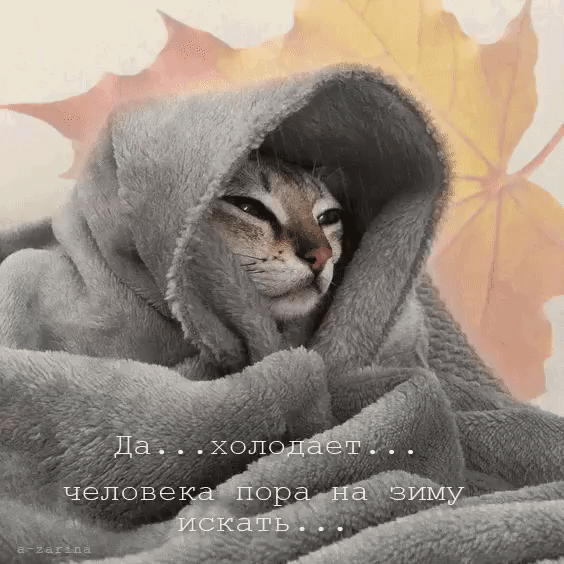 Tapтaлeтки & Ко