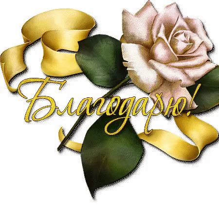 Tapтaлeтки & Ко