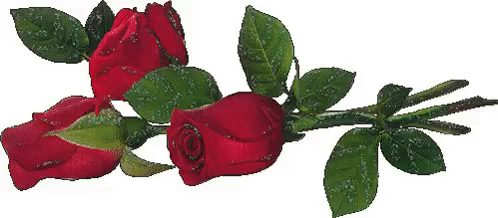 Tapтaлeтки & Ко