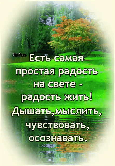 Tapтaлeтки & Ко