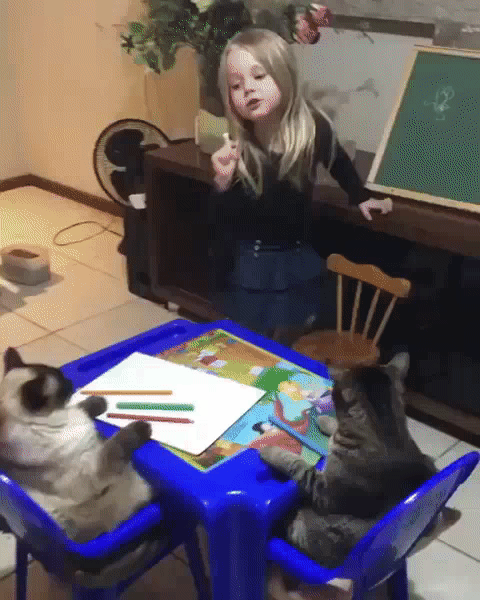 zamok na holodilnik s tajmerom