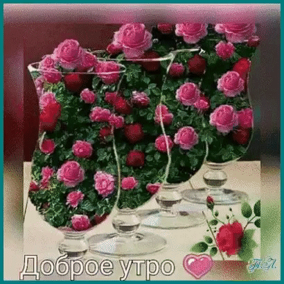 Tapтaлeтки & Ко